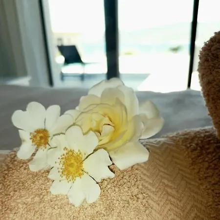 فيلة Casa Di L'alivi - Avec Vue Exceptionnelle بروبرِيانّو