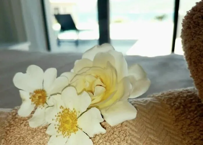 别墅 Casa Di L'alivi - Avec Vue Exceptionnelle 普罗普里亚诺